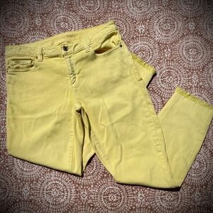 Womens Pants
